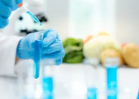 Lebensmittelchemiker - AdobeStock_1044429759 --- Shisu_ka --- 280x200 --- kostenlos